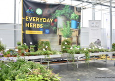 Double Marvel van Hishtil, "Een fantastisch concept voor consumenten, winkeliers en dus ook telers. Het is cruciaal voor het milieu. Ze brengen prachtige bloemen, geweldig voor bestuivers. Vanuit het oogpunt van de consument. Wat ze erbij krijgen is de mogelijkheid om de tuin te verfraaien met kruiden, vanwege hun kruipende, rechtopstaande eigenschappen en geur. Double Marvel gaat over communiceren dat ze kruiden voor veel verschillende redenen kunnen gebruiken en dat ze daar veel voordelen van hebben. Wil je meer weten over Double Marvel, lees dan dit FloralDaily artikel: https://www.floraldaily.com/article/9530767/new-ways-of-utilising-herbs-in-the-garden/ 